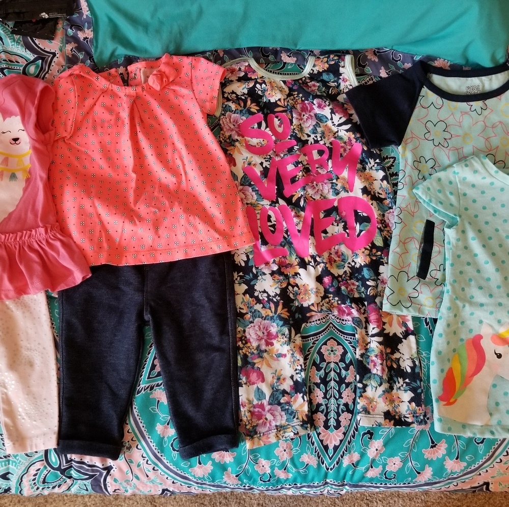 Baby girls 12 month lot